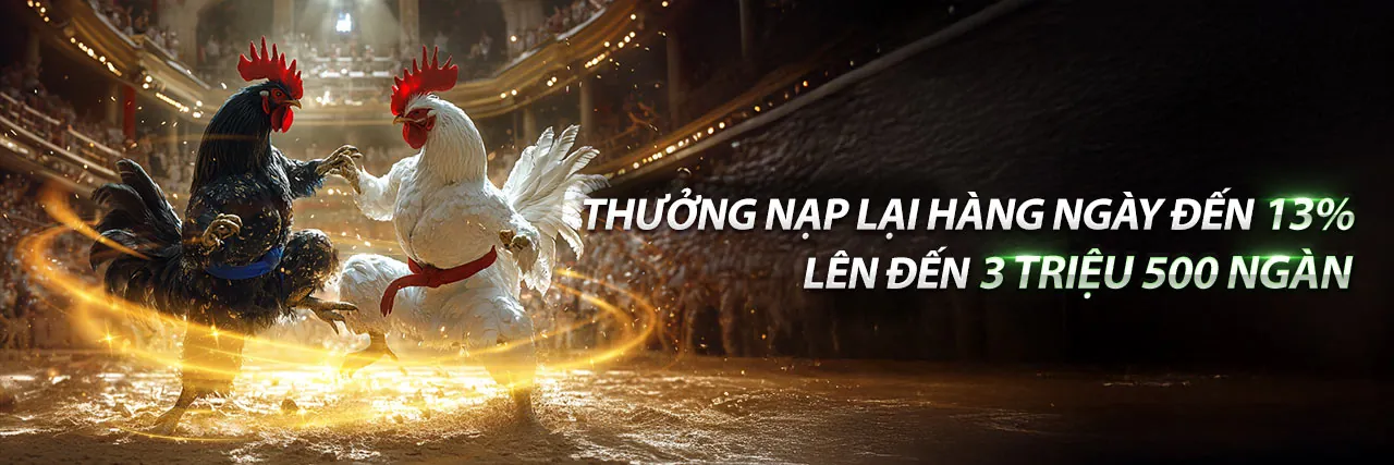 Ưu đãi hấp dẫn 2026 tại i9bet141 nhà cái